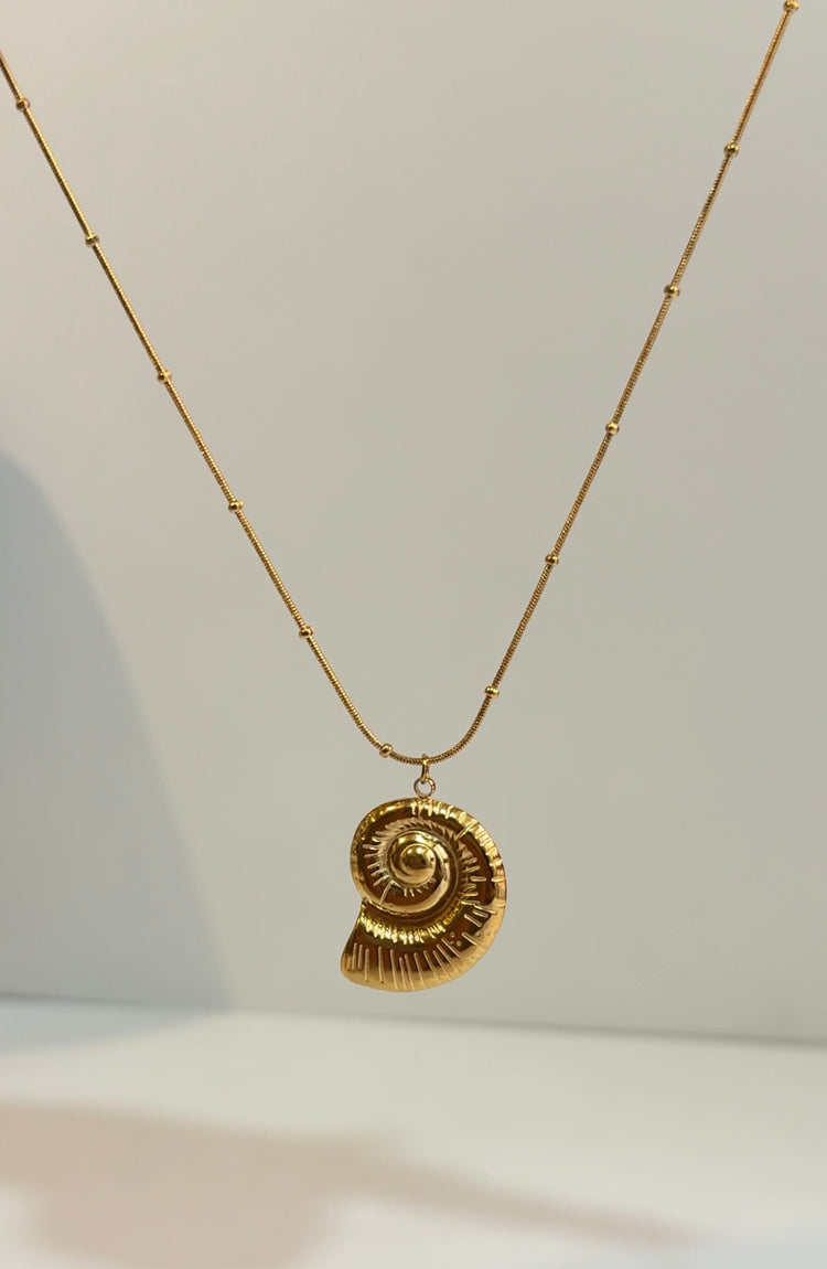 SEA-SHELL-NECKLACE