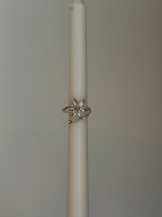 FIZA-ADJUSTABLE-RING