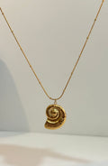 SEA-SHELL-NECKLACE